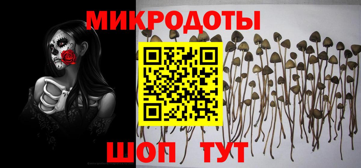 Галлюциногенные грибы мухоморы Волжск